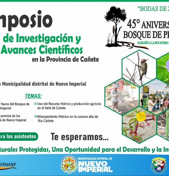 496941896_1119920460171895_1475503936199247231_n I SIMPOSIO DE INVESTIGACION Y AVANCES CIENTÍFICOS EN LA PROVINCIA DE CAÑETE