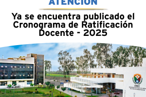 Pieza_solo’Ratificación Docente’-02